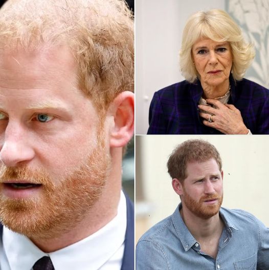 Queen Camilla ‘outraged’ after Prince Harry’s visit to see his father for “loving son PR stunt”, claims source