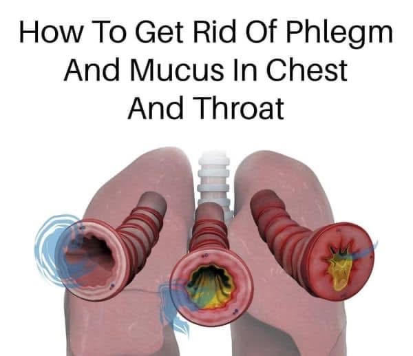 Identifying ways to lessen phlegm and mucus in the chest and throat