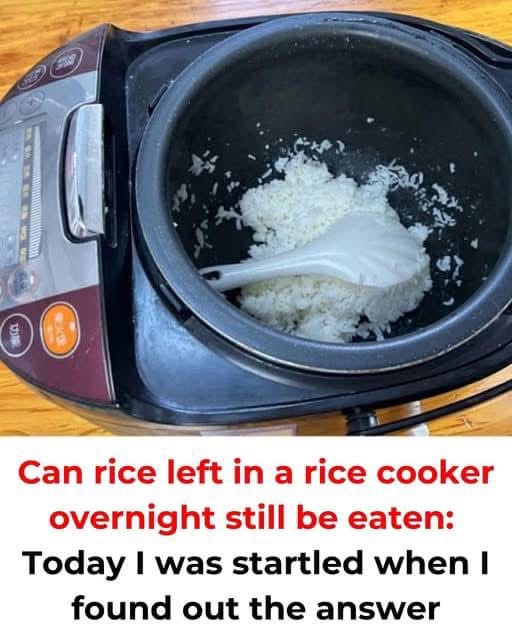 Is it possible to eat rice left in a rice cooker overnight?