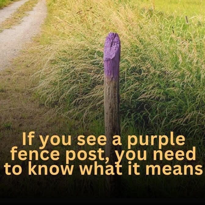 If you see a purple fence post, you need