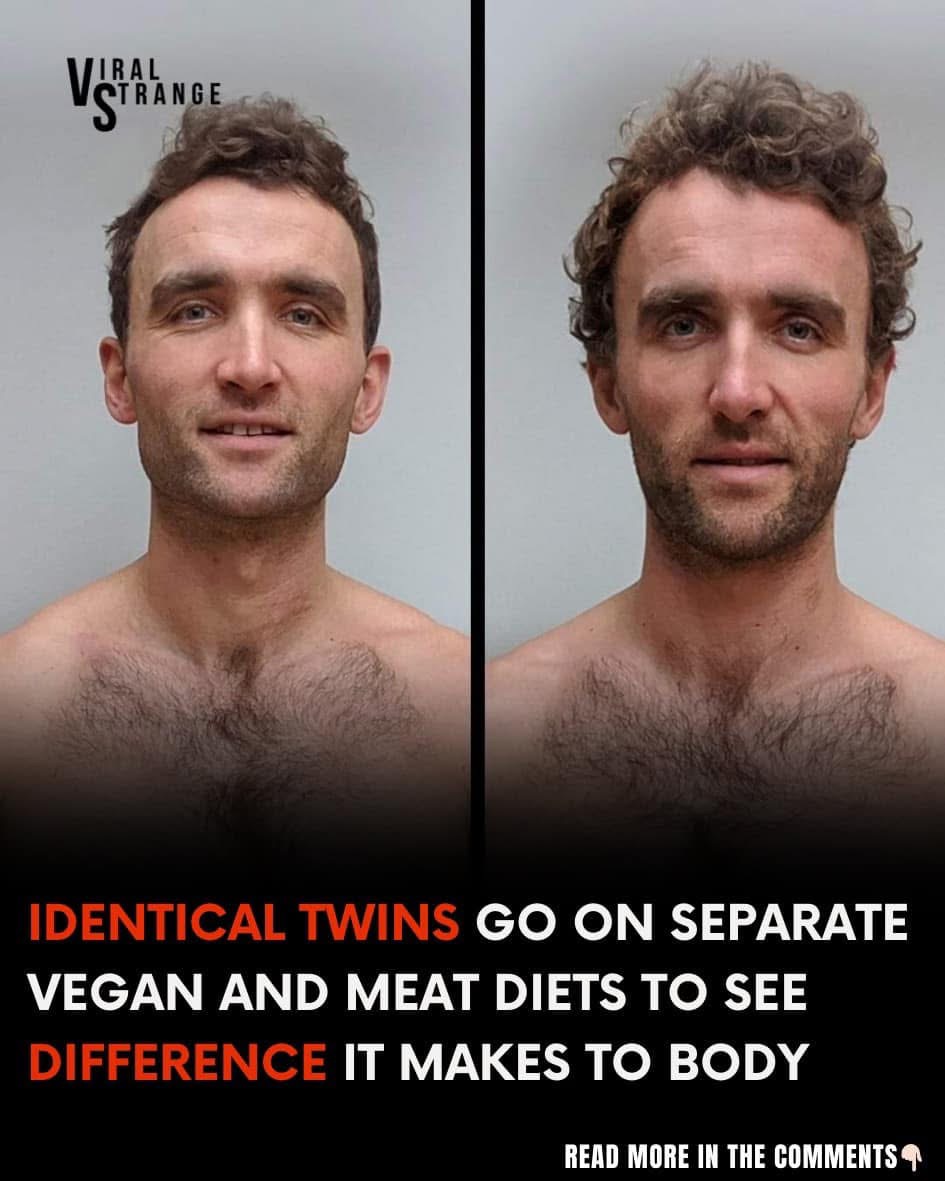 Identical Twins Compare Vegan and Omnivorous Diets