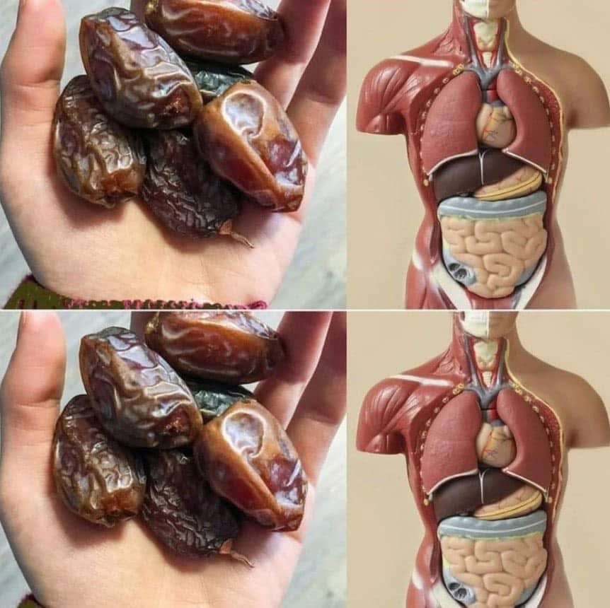 What will happen if you start eating 2 dates every day for a week. Check 1st comment