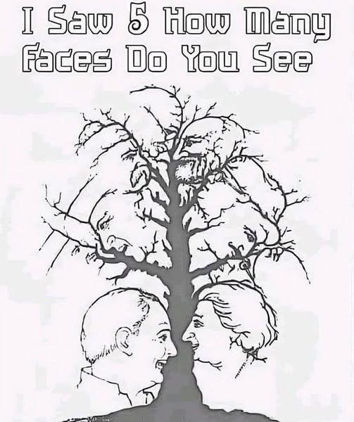 If you find all the hidden faces in this optical illusion in less than 10 seconds, you’re in the top 1